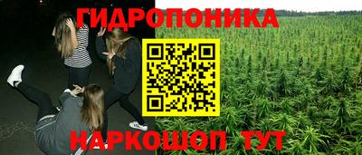твердый Пугачёв