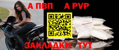 твердый Пугачёв