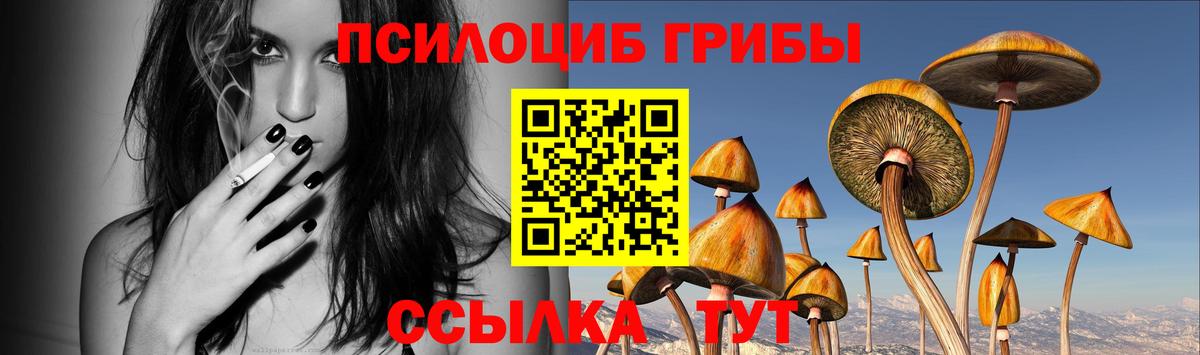Псилоцибиновые грибы мухоморы Сосновоборск